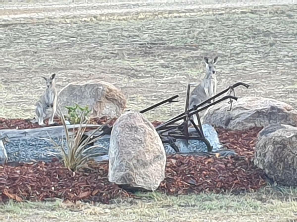 אפרטהוטל Severnlea R & R On The Ravine מראה חיצוני תמונה